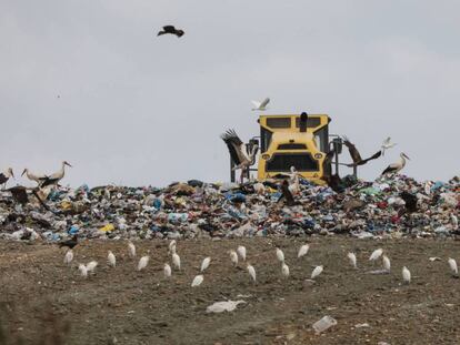 Una máquina extiende los residuos en el vertedero mancomunal de basuras en el término municipal de Pinto.