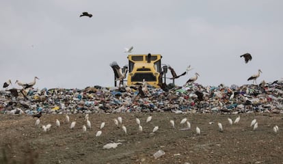 Una máquina extiende los residuos en el vertedero mancomunal de basuras en el término municipal de Pinto.