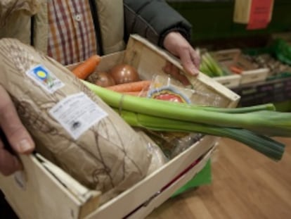 Cesta con productos ecol&oacute;gicos.