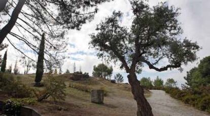 Olivo y monolito dentro del parque García Lorca donde los expertos han encontrado la roca con disparos.