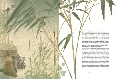 “Definitivamente, los últimos inviernos hemos tenido un tiempo demasiado templado”, cuenta en su nuevo libro. “Las flores del ciruelo empiezan a abrirse aprovechando los doce grados de este 10 de febrero. El resultado no se ha hecho esperar, ayer a mediodía se levantó el viento, que arreció por la tarde y se convirtió en la borrasca Ciara por la noche. Abofeteó sin tregua al rosal trepador, estampándolo contra su pared, transformó las hojas de bambú en frenéticos cardúmenes de peces que se peleaban entre ruidos de papel de aluminio rasgado y arrugado. Se filtró por la rendija de debajo de la puerta de casa, zumbó al remontar por la chimenea, zarandeó los postigos. Los pinzones se cobijaron bajo el canalón, en los huecos del muro, y los mirlos en el gran laurel, que aguantó estoico: tan solo sus hojas exteriores dejaron ver su envés más claro”.