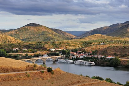 El Duero, encajonado en su tramo fronterizo con Portugal, es el eje del <a href="https://natural.pt/protected-areas/parque-natural-douro-internacional?locale=pt" target="_blank">Parque Natural do Douro Internacional</a>, un enclave semiescondido en la esquina nororiental de Portugal que conforma el monumental cañón que ha excavado el río a lo largo de la frontera con España. Sus altas paredes de granito representan el hábitat de varias especies de aves amenazadas como la cigüeña negra, el alimoche, el buitre leonado, el halcón peregrino, el águila real y el águila perdicera. Apenas hay unos 35 pueblos en la zona, muchos de los cuales están habitados por descendientes de convictos desterrados durante la Edad Media o judíos que huyeron de la Inquisición. El aislamiento de la región ha propiciado que sus gentes conserven tradiciones antiquísimas, como la dança dos paulitos, de origen celta. Hay varias rutas de senderismo señalizadas, siendo la más recomendable la que conecta Miranda do Douro con São João das Arribas, que empieza y termina en la catedral de Miranda do Douro. Este sendero se puede recorrer a pie, en bicicleta o a caballo y discurre entre robredales y aldeas, ofreciendo sensacionales vistas del río a su paso por São João. Otra opción fascinante es el circuito circular de Vale da Ribeira do Mosteiro, que atraviesa viñedos y paisajes escarpados siguiendo el curso de un afluente del Duero.