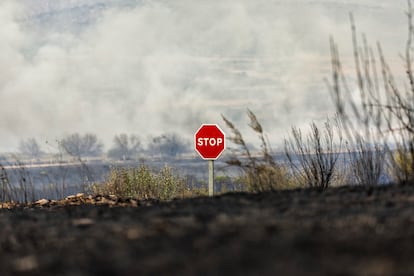 Consecuencias del incendio en Abejera, Zamora, este miércoles.