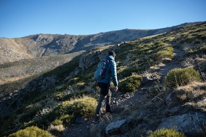 Cabrero en una de las rutas cercanas a Candelario que seguramente recorrió el montañero de cuya desaparición se cumple un año.
