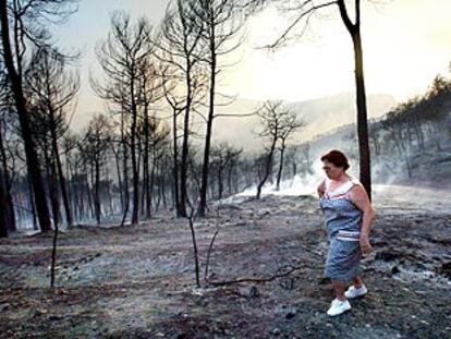 Incendio en la urbanización Comabella en Sant Llorenç de Savall, en Barcelona, el pasado mes de agosto.