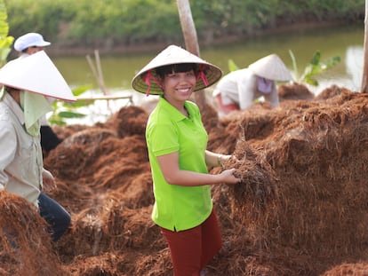 Tran Thi Khanh Trang en los arrozales.