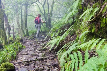 A hiker in the Anaga rural park in Tenerife.