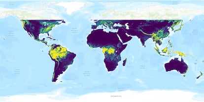 Mapa de la biomasa mundial elaborado con la mediciones de GEDI.