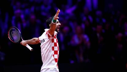 Cilic celebra su triunfo ante Pouille, este domingo en Lille.