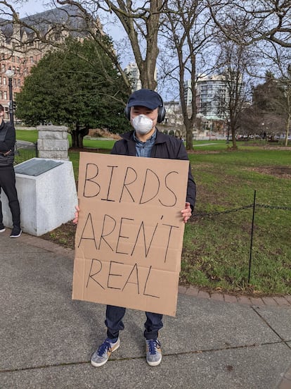 Uno de los manifestantes del movimiento 'Birds Aren't Real' en una manifestación organizada esta misma semana en Vancouver.