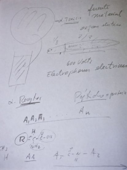 Esquemas explicativos escritos por el doctor Possani durante la entrevista.