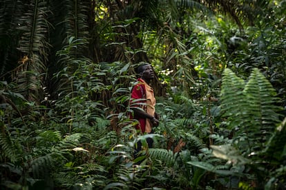  Godfrey Tibesigwa, vecino de la aldea de Kikube, en Uganda, ayuda a las ONG locales como vigilante de los bosques tropicales. 