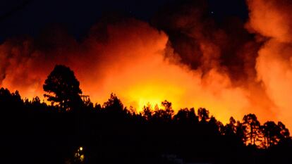 Incendio en la isla canaria de La Palma, el pasado julio.