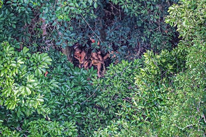 Indígenas aislados del alto del curso del río Humaitá, del pueblo de los que ahora han visitado una aldea, fotografiados en 2016 desde un helicóptero.