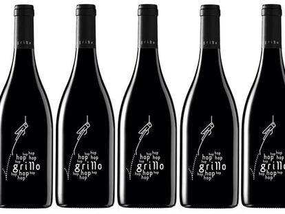 Grillo Hop Hop 2014: vibrantes armonías