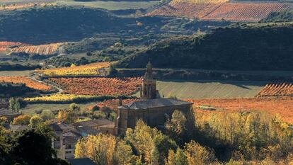 Viñedos de Ramón Bilbao en Ábalos (La Rioja).