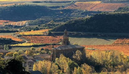 Viñedos de Ramón Bilbao en Ábalos (La Rioja).