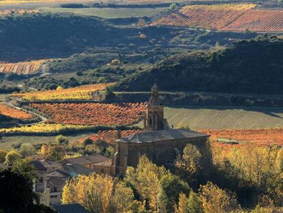 Viñedos de Ramón Bilbao en Ábalos (La Rioja).