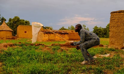 Un cazador de mosquitos en Bana.