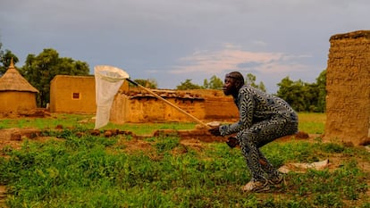 Un cazador de mosquitos en Bana.