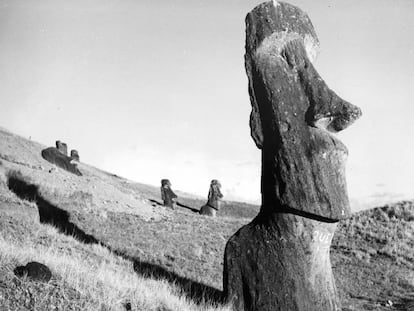 Moáis en el este de la Isla de Pascua.