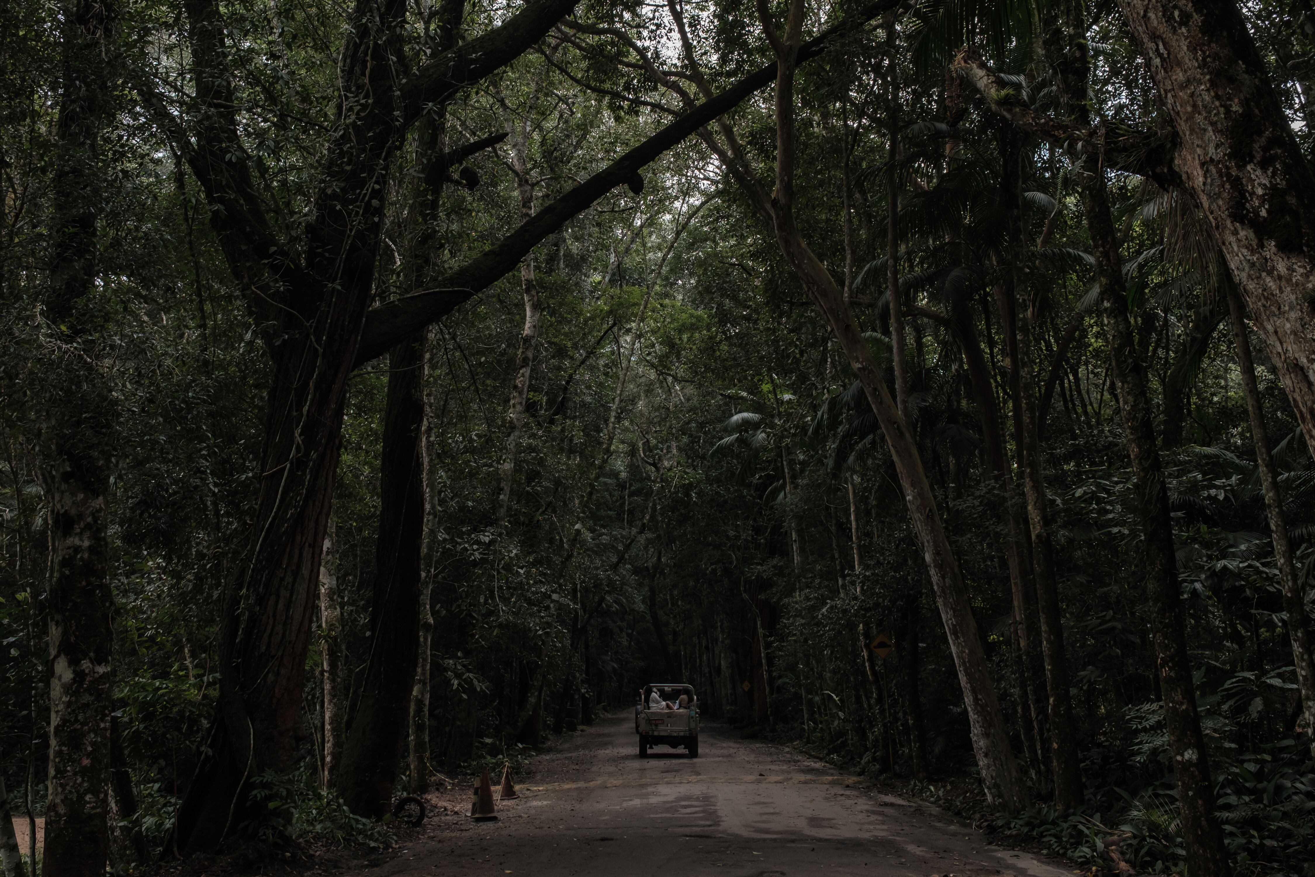 Un jeep transporta visitantes a uno de los atractivos naturales del parque nacional de Tijuca.