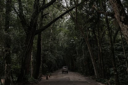 Un jeep transporta visitantes a uno de los atractivos naturales del parque nacional de Tijuca.