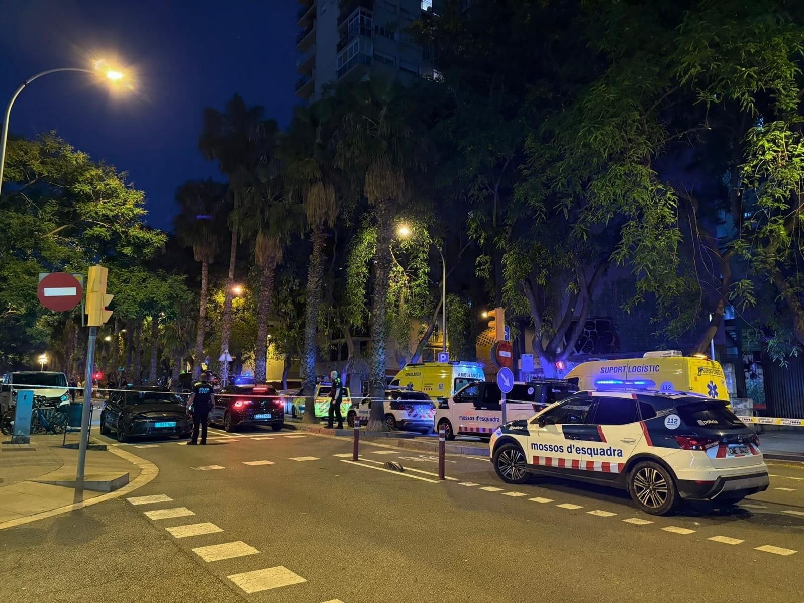 Thirteen arrested in Barcelona in a police operation against the use of firearms Thirteen arrested in Barcelona in a police operation against the use of firearms