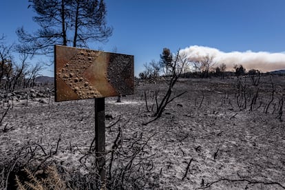 Los operativos de extinción centran su trabajo en contener el perímetro y que no avance hacia la Sierra de Espadán. En la imagen, una zona afectada por el fuego, este lunes.