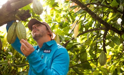 El chef Jordi Roca durante su expedición en el Amazonas para encontrar cacao.