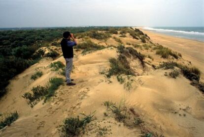 Un hombre observa la costa desde una duna de Huelva.