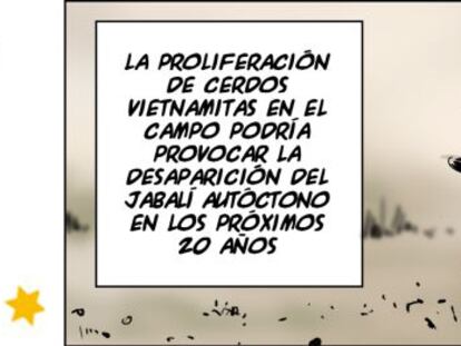 Ramón