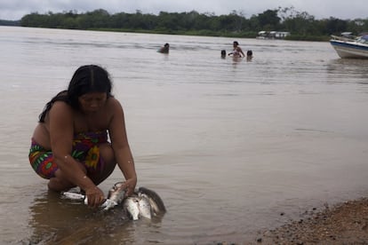 El río Atrato sigue siendo una fuente de vida para las comunidades afrodescendientes e indígenas de Bojayá que siguen viviendo mayoritariamente de la pesca y la agricultura. 
