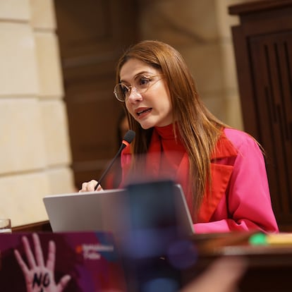 La representante Catherine Juvinao durante la discusión del proyecto