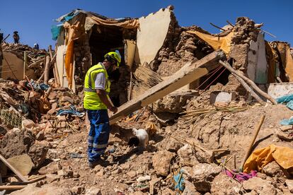 Briska, another of the SAMU team's search dogs, searches among the rubble for signs of life. 