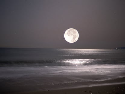 Se estima que la Luna puede contener 10.000 millones de veces menos agua que la que contiene nuestro planeta solo en los océanos.