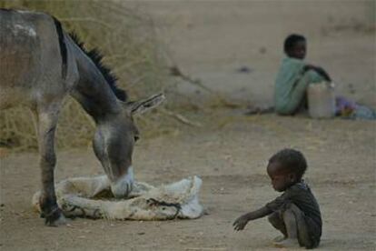 Niños sudaneses refugiados en Bahai (Chad, frontera con Sudán) el año pasado.