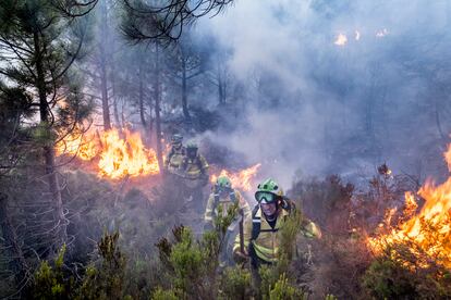 Bomberos forestales en el incendio de Sierra Bermeja (Málaga) el 6 de septiembre de 2021. El fuego duró una semana, mató a un bombero y carbonizó 10.000 hectáreas. 