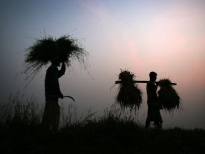 Agricultores em Gauhati (Estado de Assam).