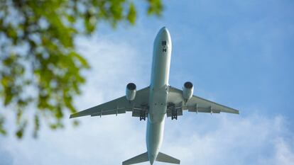 La sostenibilidad también es un compañero de vuelo