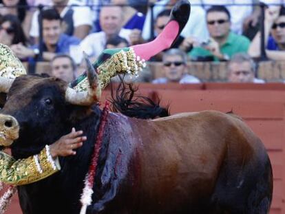 El Cid dio una voltereta en la lidia de su primer toro en Sevilla.