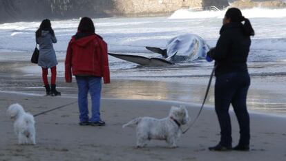 Varios curiosos observan esta mañana la ballena varada en la playa de La Concha, en San Sebastián.