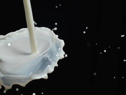 Si tiene un bebé, tenga cuidado con la leche en polvo: Puleva retira varios lotes por riesgo de salmonelosis