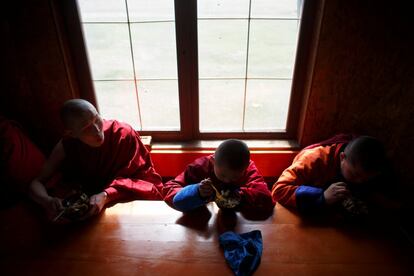 Jóvenes monjes budistas almuerzan en el refectorio del monasterio de Amarbayasgalant en Baruunburen (Mongolia).
