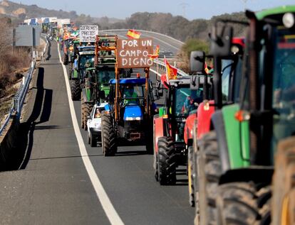 Las protestas de los agricultores extremeños colapsan las autovías A-5 y A-66 y en Almería cortan la A-7 en El Ejido, en protesta por la situación del sector hortofrutícola. En la imagen, los agricultores cortan la autovía de Badajoz en el kilómetro 174.