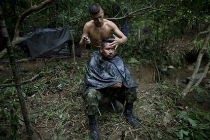Alexis, un combatiente rebelde de 24 años de edad, recortar el pelo de Juan Pablo, un comandante del frente 36 de las fuerzas armadas revolucionarias de Colombia, en el campamento escondido en los Andes del noroeste de Colombia.