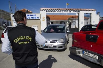 Un agente del Seprona de la Guardia Civil, ante la sede de una asociación protectora de  animales en Torremolinos (Málaga), en octibre pasado.