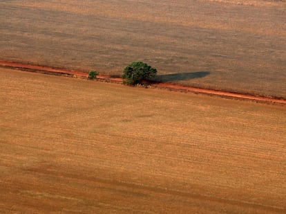 A lone tree is seen on a land prepared for the planting of soybeans, in this aerial photo taken over Mato Grosso state in western Brazil, October 4, 2015. Brazil will produce a record 97.8 million tonnes of soybeans in 2015/16, a 3.2 percent rise compared to 2014/15, but much of this additional volume will be stored in the country, with little impact on export volumes, estimated on Monday the Brazilian Association of Vegetable Oil Industries (ABIOVE). Picture taken October 4, 2015. REUTERS/Paulo Whitaker