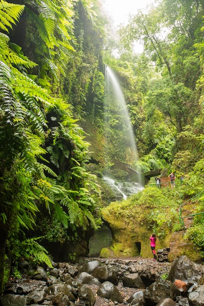 Varios excursionistas visitan la cascada de Los Tilos, en la isla de La Palma.