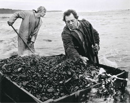 Brian Laidler and an Unidentifies Man Netting Seacoast. Impresión a tinta. Serie: Seaccal (1982-1984)